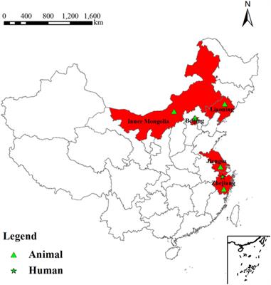 MLVA and LPS Characteristics of Brucella canis Isolated from Humans and Dogs in Zhejiang, China